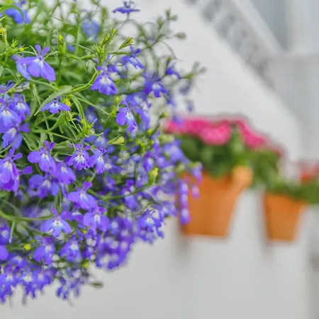 La Casita De Marcelo * Cordoba